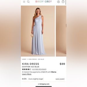 Birdy Grey Kira Dress - chiffon ice blue - size Large